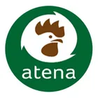 Atena